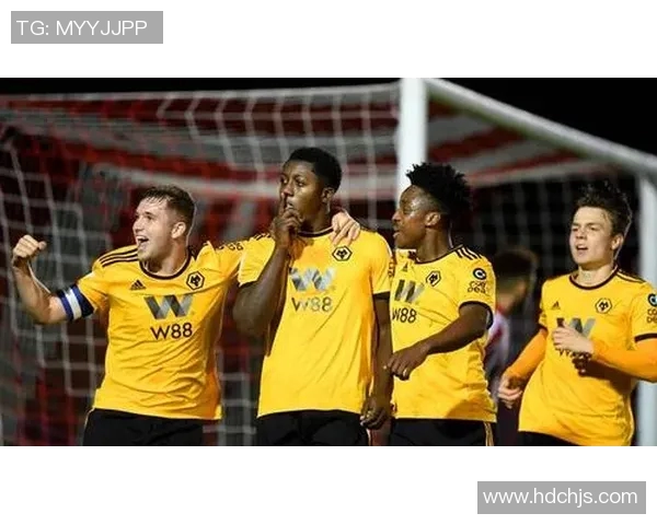 英超羽毛球焦点探讨杭州羽毛球队的默契配合与战术分析 英超羽毛球焦点探讨杭州羽毛球队的默契配合与战术分析