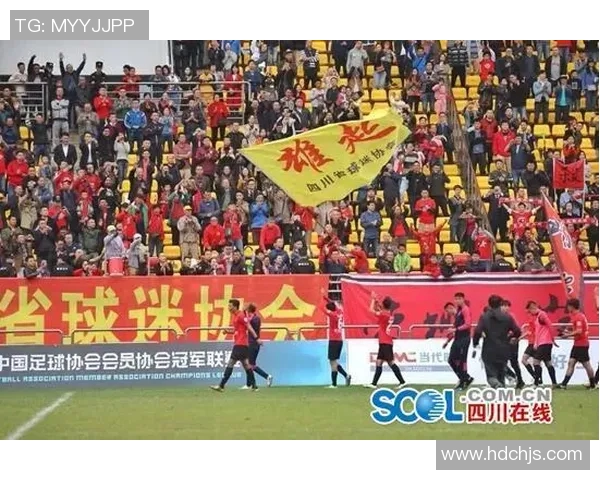 成都羽毛球队耐力分析与欧冠足球耐力对比的深度探讨