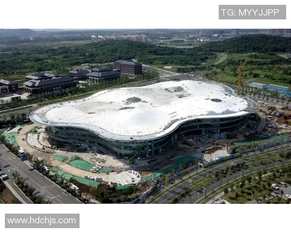 运动数据南京极限运动队的管理模式与发展趋势深度解析